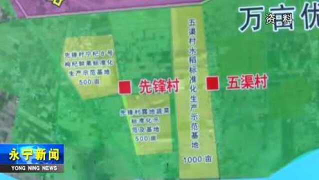 胜利乡:统筹规划 促进各项工作稳步推进