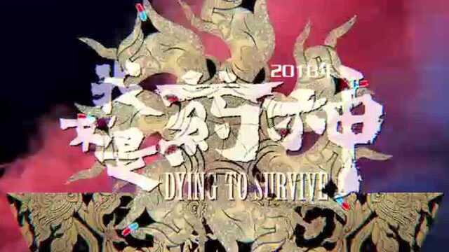 麦特文化十周年庆典——麦特十年