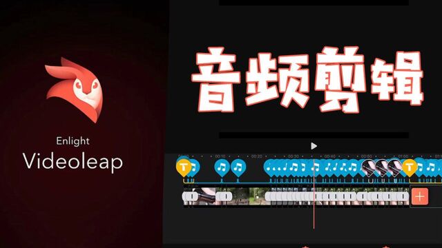 videoleap实用教程音频剪辑