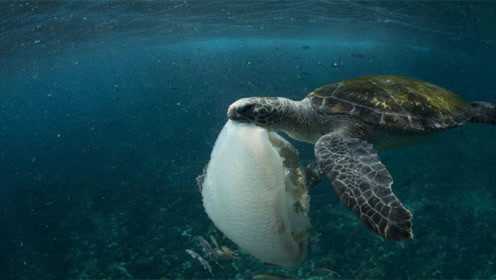 Thumbplayer Poster Plugin Image