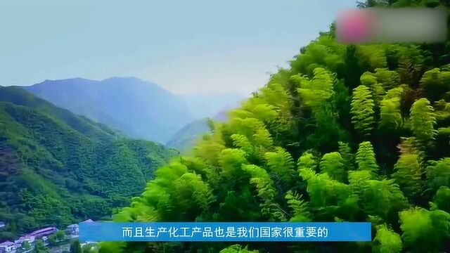 宜攀高速预计2023年通车,带动沿途城市发展和建设,经过你家乡吗