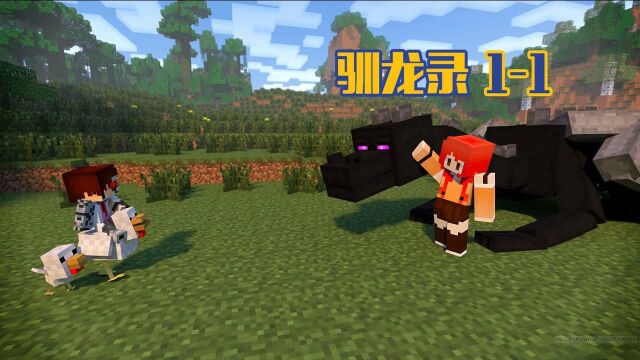 甜萝酱我的世界 Minecraft 生活大冒险之驯龙录多模组生存p11