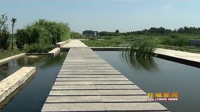 任城区建设“人工湿地”污水变清流