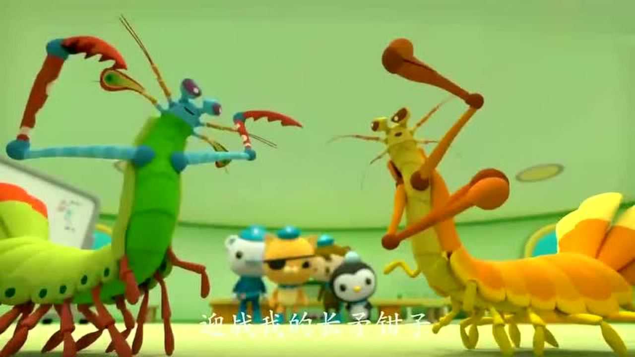 海底小纵队:螳螂虾要进行决斗,谢灵通觉得这是螳螂虾的终极对决