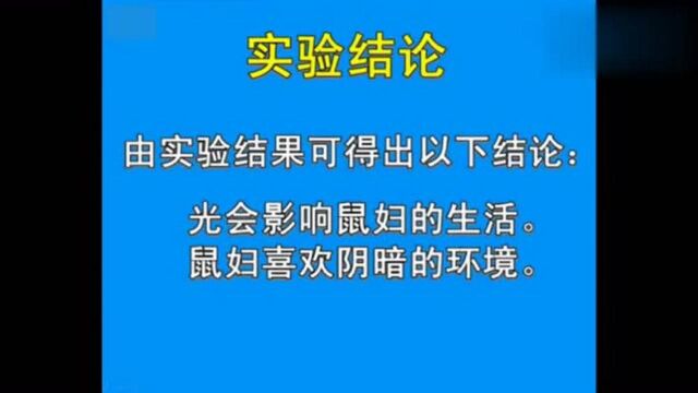 初中生物实验:非生物因素对鼠妇生活的影响