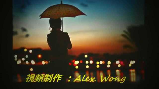 林玉英:《毛毛雨》