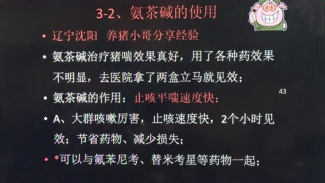 猪群咳嗽别犯愁,这是“氨茶碱”的正确打开方式!