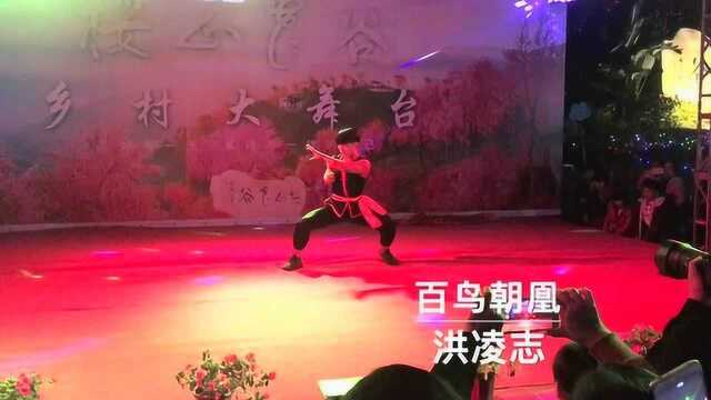 樱花山谷南枝拳表演