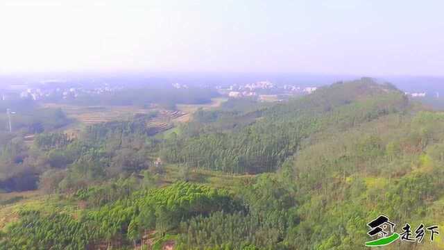 带您去看看一代风水大师本地姜梁铎贵的自选风水宝地乌鸦担箭