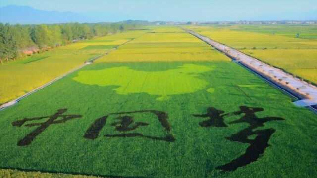 中国特色扶贫道路越走越宽