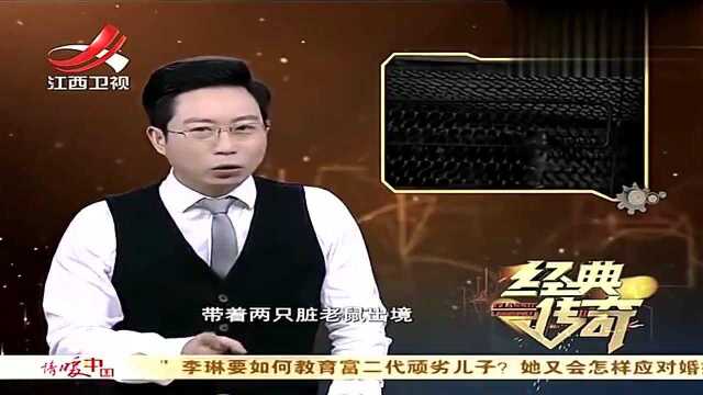 “两只老鼠”引发的惊天间谍案,听专家为您揭秘