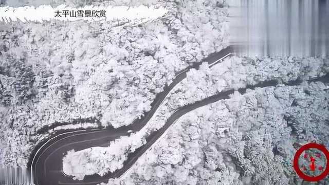 台湾宜兰县太平山雪景欣赏