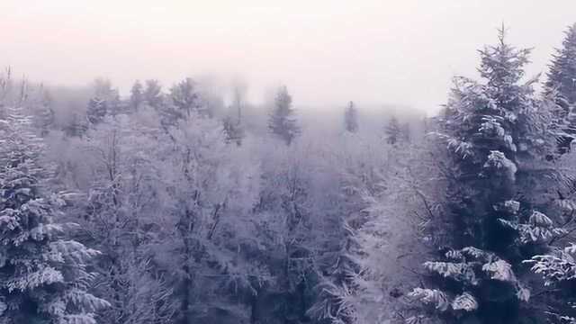 一下雪,德国就变成绝美的风景明信片啦!