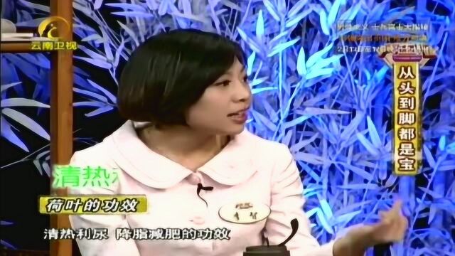 养生汇:荷叶有什么功效?广大爱美女士的福音!