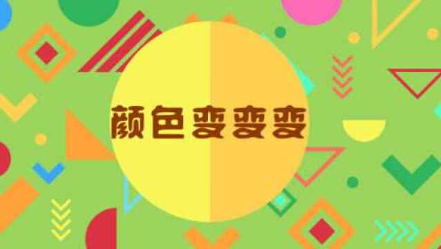 科学小实验 :颜色变变变