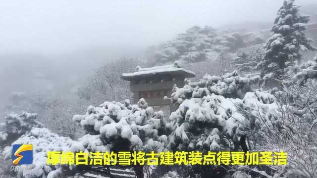 泰安再迎降雪,泰山天外村路、桃花峪专线旅行车暂停运营