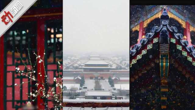 北京喜提第二场降雪!网友:随便一张都是壁纸