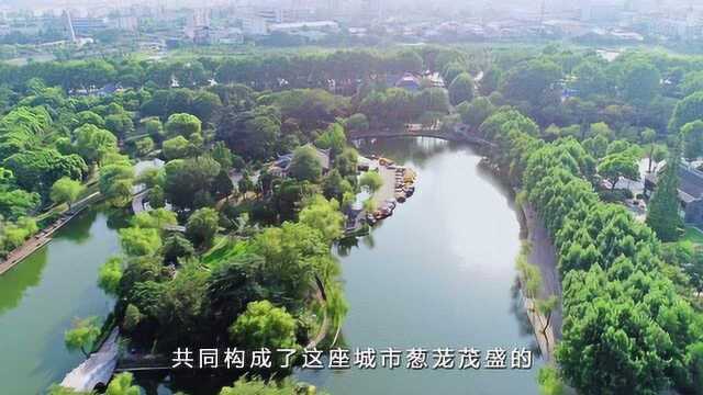 《亲语连廉》家风系列专题片第三集:身正为范