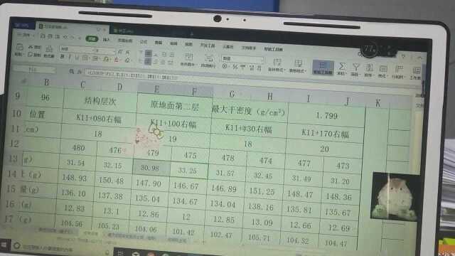 突然发现一个新玩法,按住输入法使劲晃,就会出现另一种皮肤