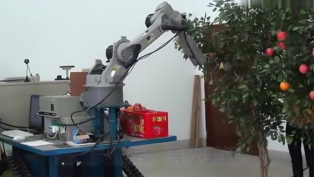 大学生团队发明水果采摘机器人一台机器顶12个人简单粗暴效率高腾讯视频 