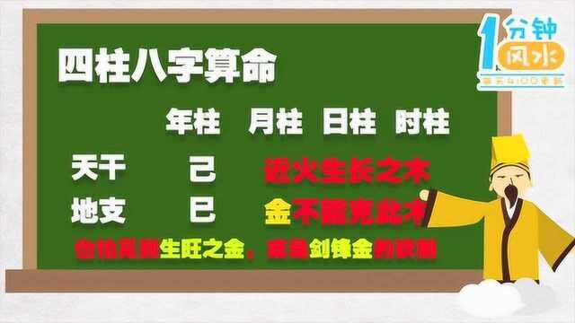 风水不求人第二十七期大林木命