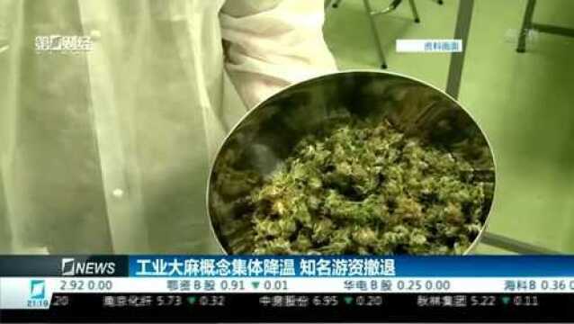 工业大麻概念凉凉,多家上市公司纷纷撇清关系