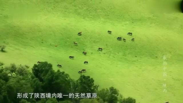 航拍中国:关山草原是陕西境内唯一的天然草原