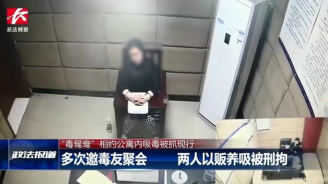 “毒鸳鸯”相约公寓内吸毒被抓现行,2人以贩养吸被刑拘