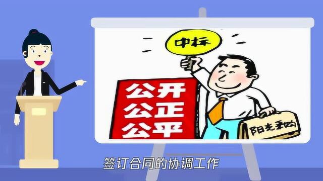 招标代理公司都做什么?