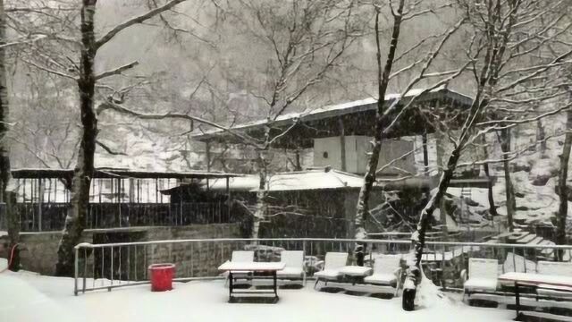 石家庄驼梁景区四月飘着大雪 地面一片白茫茫