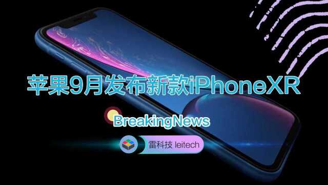 iPhone XR升级版或配双摄像头:价格更便宜