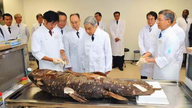 已退位的日本明仁天皇竟是生物学霸:在《基因》上发表论文