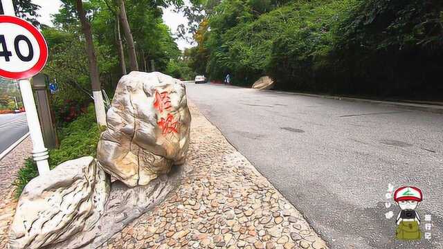 实拍厦门非常有名的“怪坡”,带大家看看到底“怪”在哪里