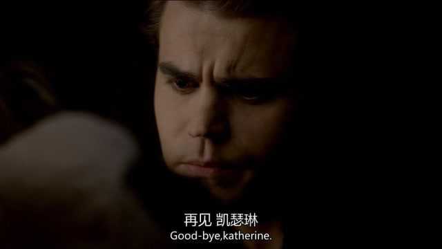 斯特凡:Goodbye katherine