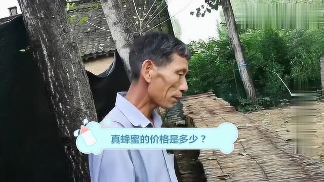 真蜂蜜的价格是多少?