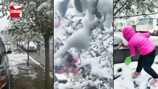 一夜入冬!新疆青河县突降大雪,短袖变棉袄