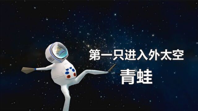 疯狂的青蛙第7集:穿上宇航服去宇宙,第一只进入外太空的青蛙!