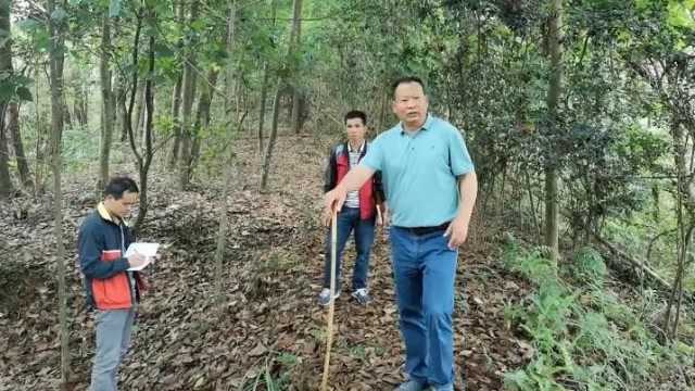 蝴蝶风水宝地,风水大师张少波,在福建带学员寻龙点穴风水视频