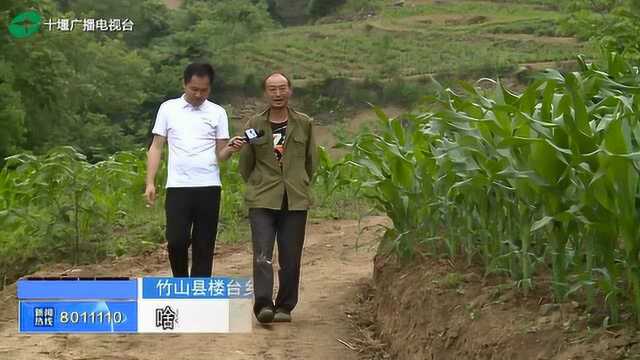 十堰:决胜脱贫攻坚住房安全,贫困户危房改造有保障