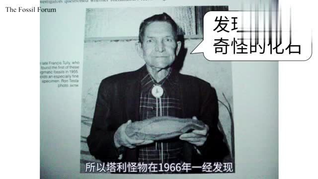 鬼谷闲谈塔利怪物:迷之古生物