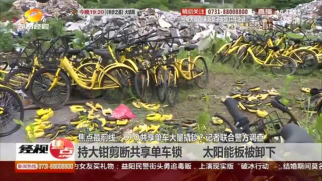 OFO共享单车被大量撬锁?OFO回应:清理破旧单车