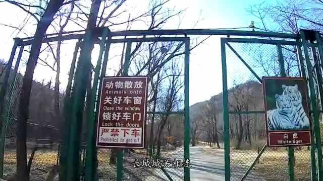 八达岭长城:北京的八达岭古长城,俗称残长城