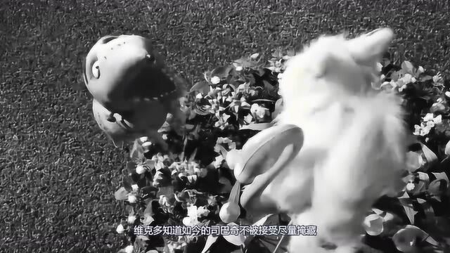 《科学怪狗》人们对科学的无知和排斥,反映在死而复生的狗身上