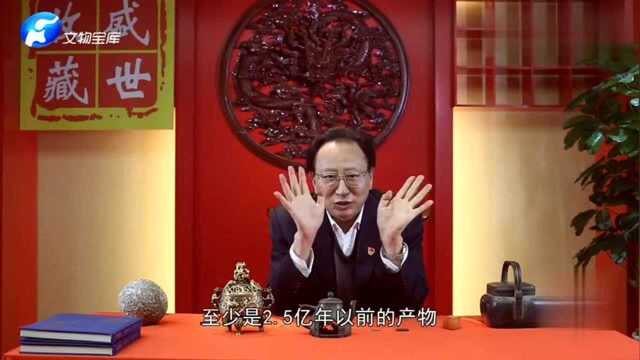 古化石收藏赏析:2.5亿年前的产物,恐龙蛋化石!