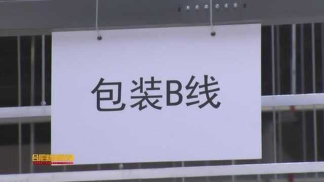 网易考拉开仓一个月出库单量近30000单