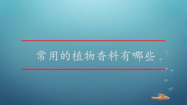 常用的植物香料有哪些