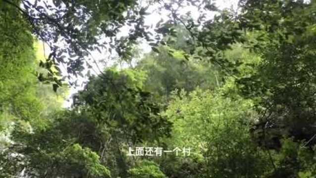 人间奇景!福建大山深处藏着一个峡谷瀑布