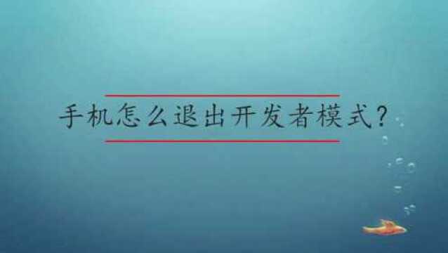 手机怎么退出开发者模式?