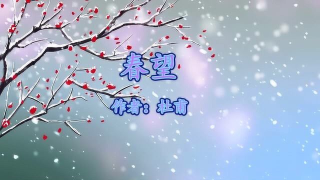 《春望》杜甫 感时花溅泪 恨别鸟惊心