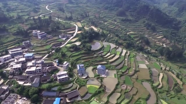 航拍贵州凯里老鸦山村,环境独特,门前就是梯田,一切看起来好美